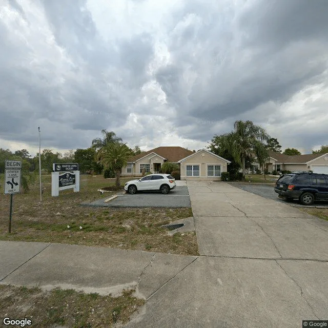 Mariner Palms