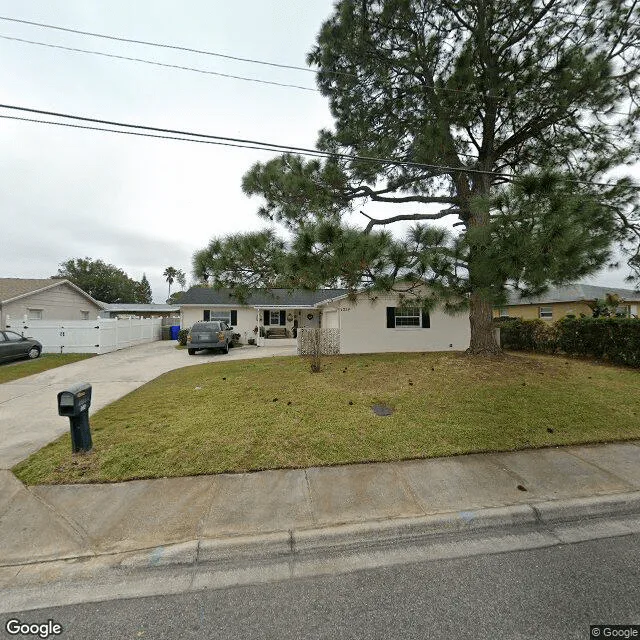 Spring Pine LLC