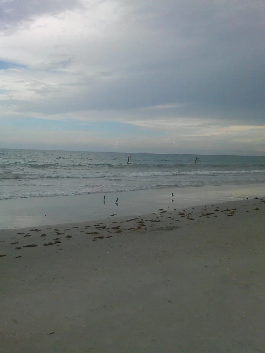 A Place Like Home photo 5