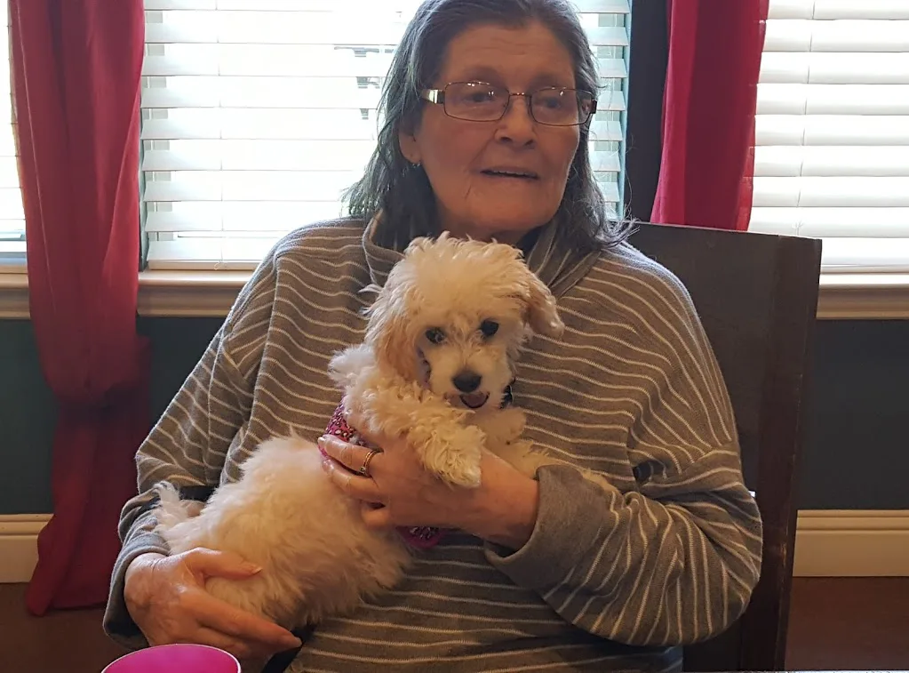 Anchor Way Senior Care Llc