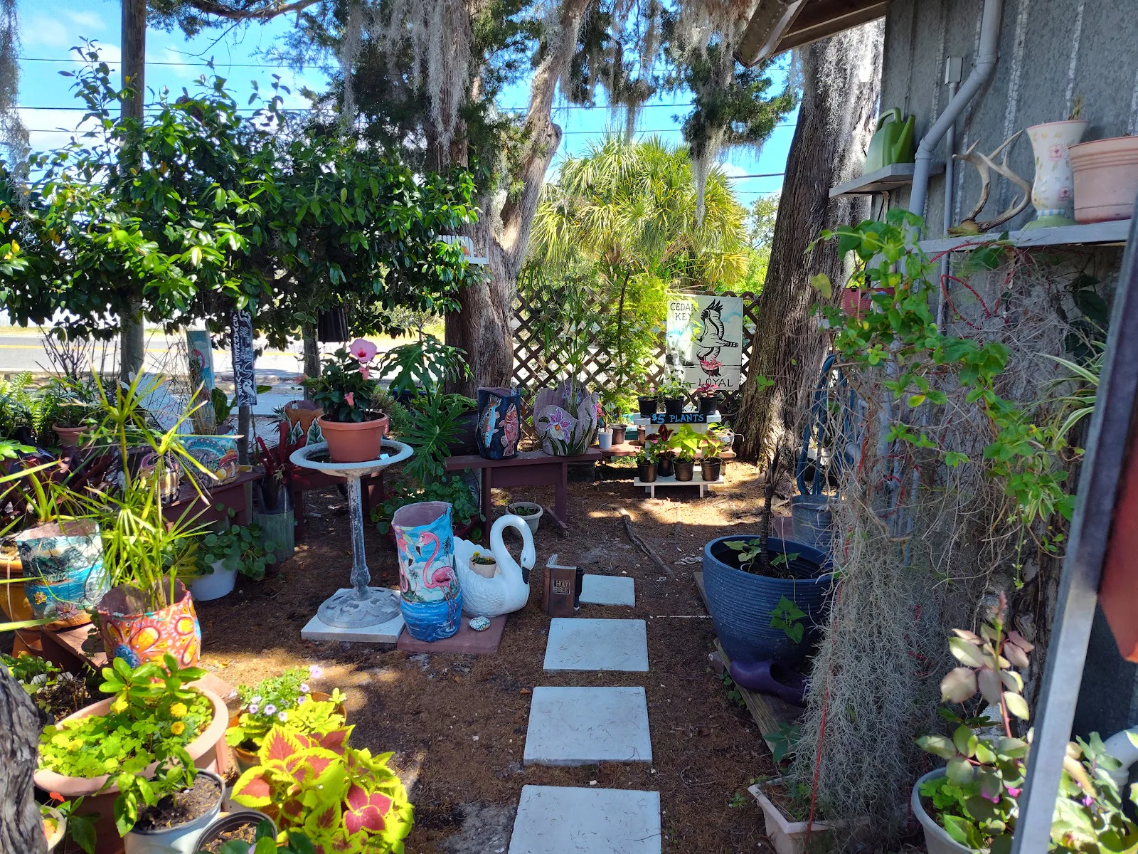 ANNIE'S PLACE photo 8