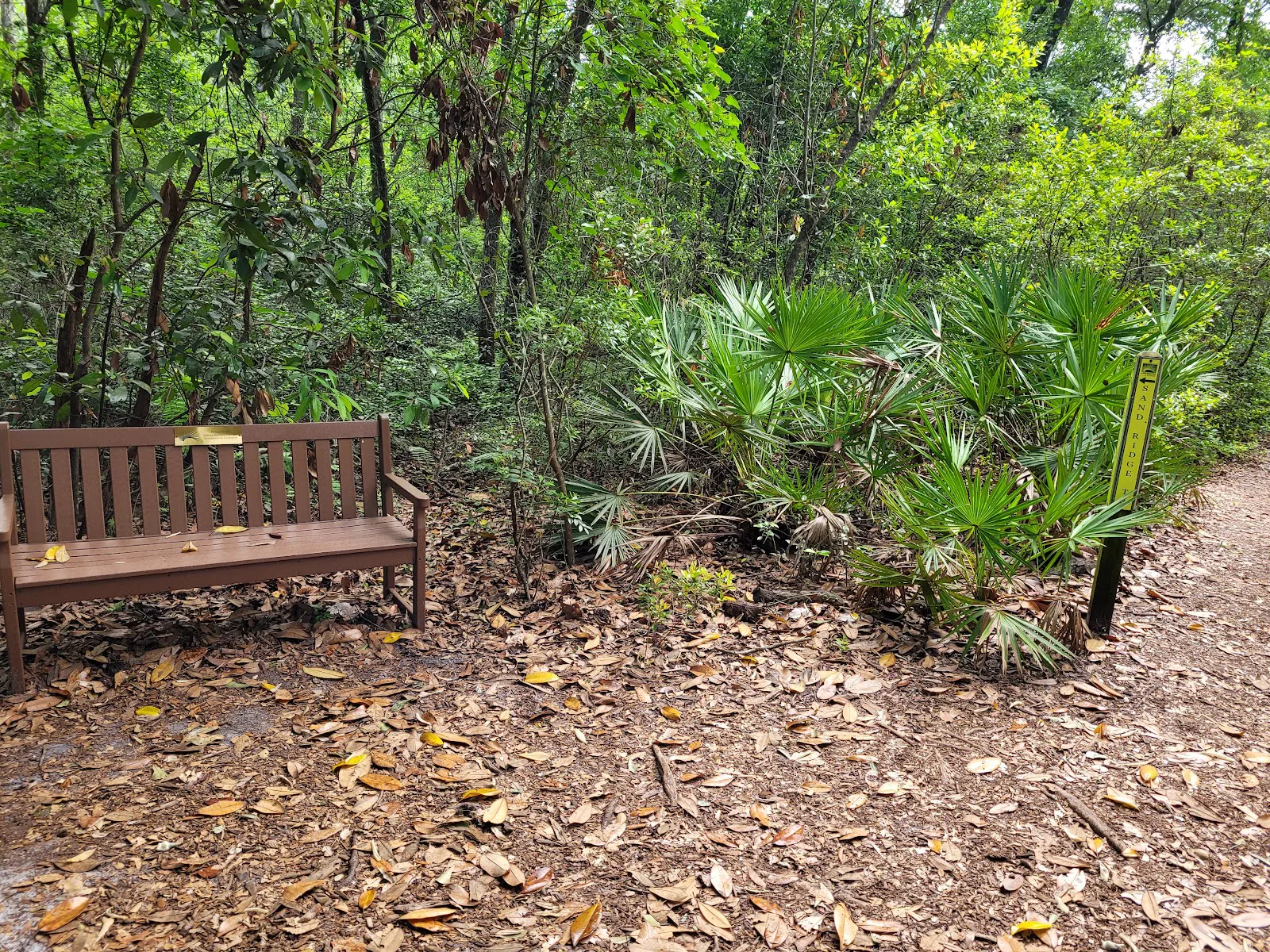 ARBORETUM (THE) photo 7