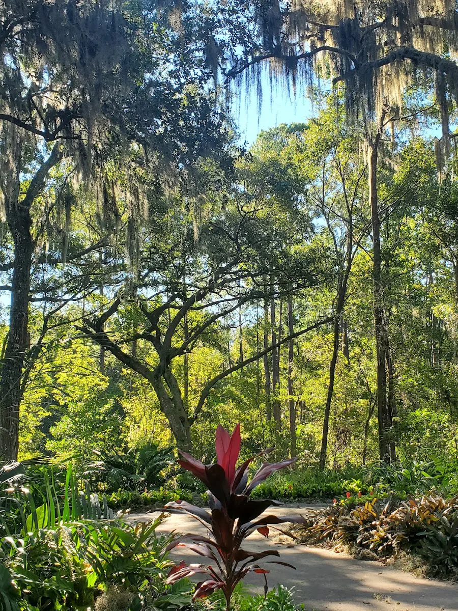 ARBORETUM (THE) photo 9