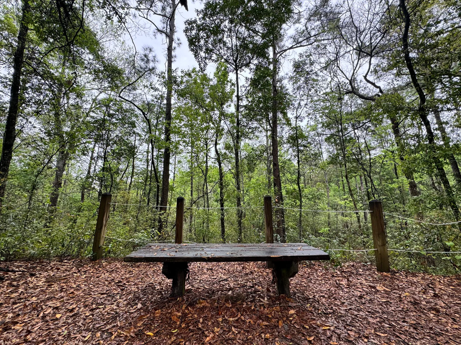 Arboretum V Llc (The)