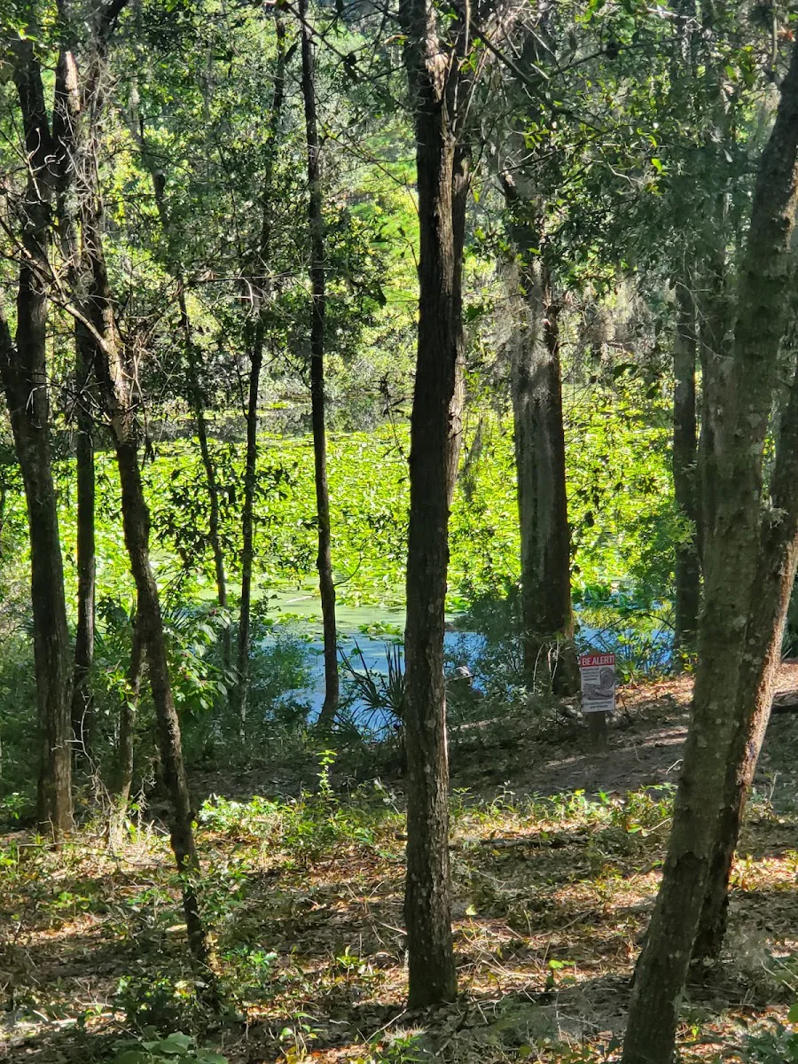 Arboretum V Llc (The) photo 10