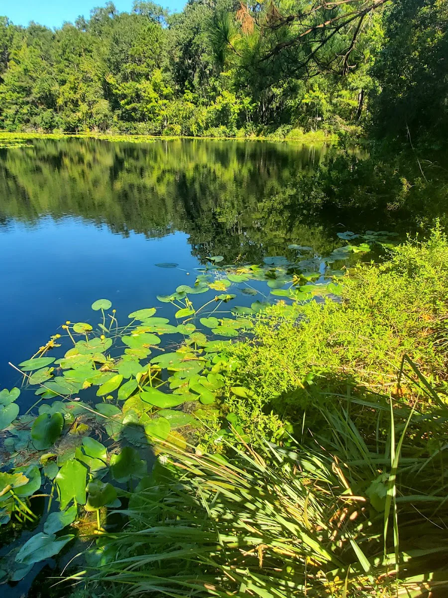 Arboretum V Llc (The) photo 6