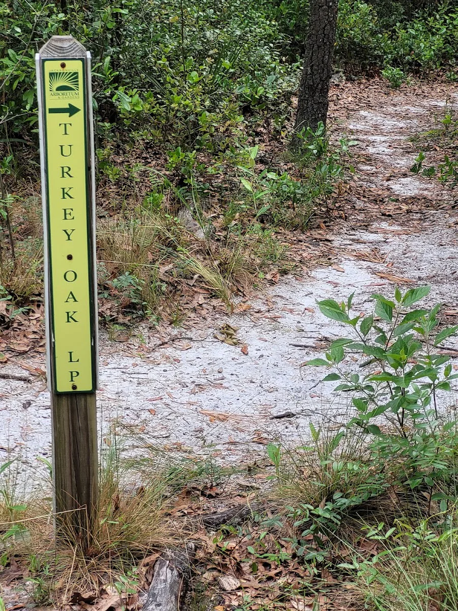 Arboretum V Llc (The) photo 3