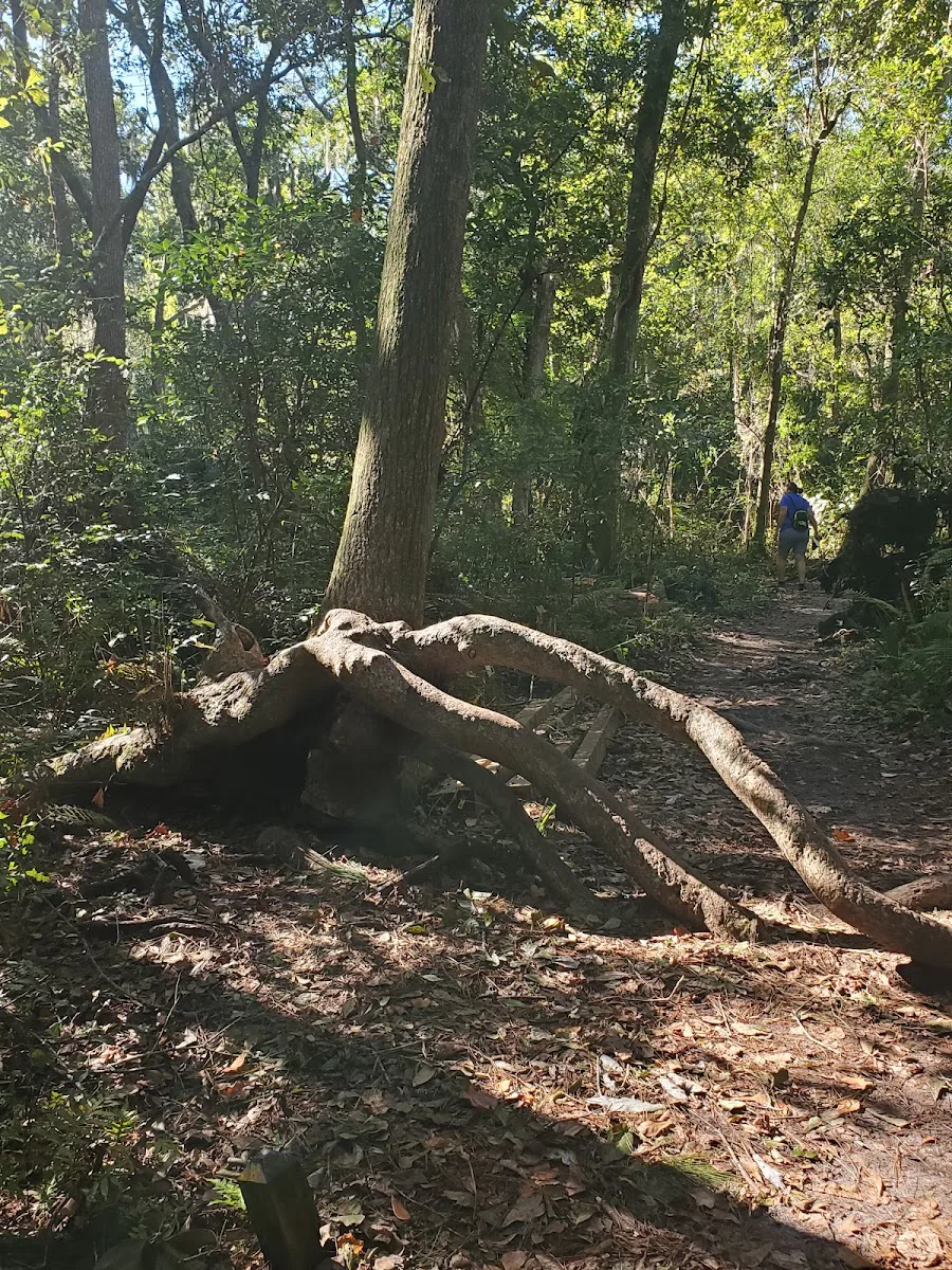 Arboretum V Llc (The) photo 5