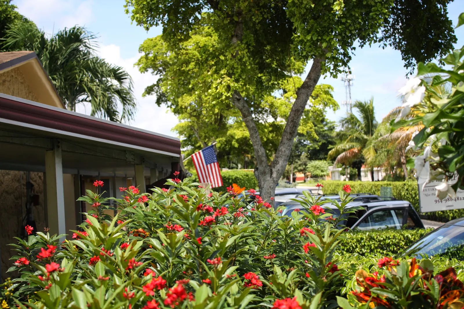 AVALON MEMORY CARE CEDAR PARK photo 3