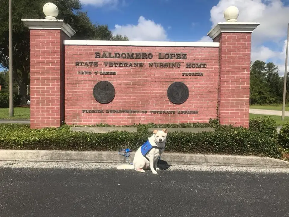 BALDOMERO LOPEZ MEMORIAL VETERANS NURSING HOME photo 2