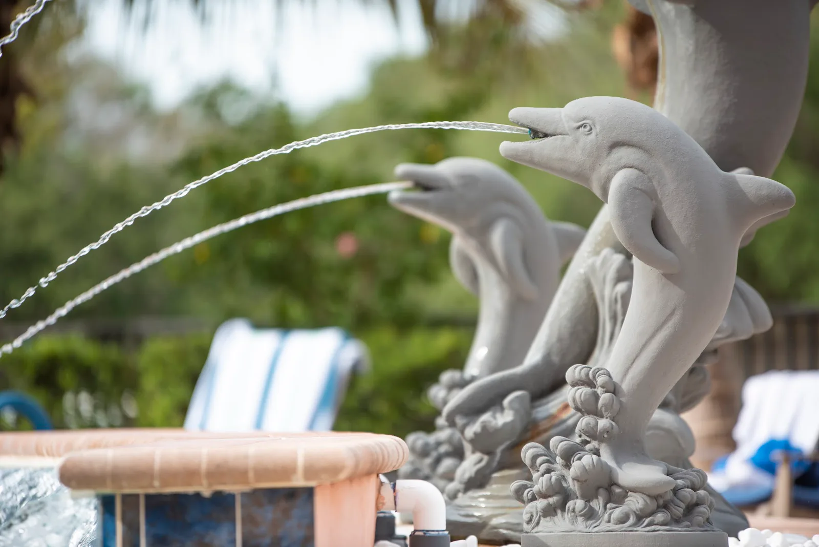 BAY VILLAGE OF SARASOTA photo 7