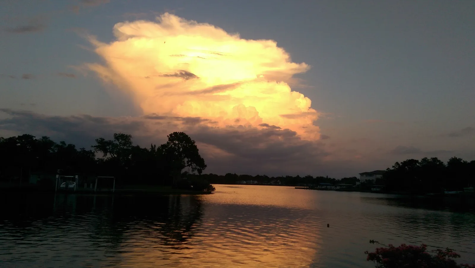 Bayshore Park Inc photo 2