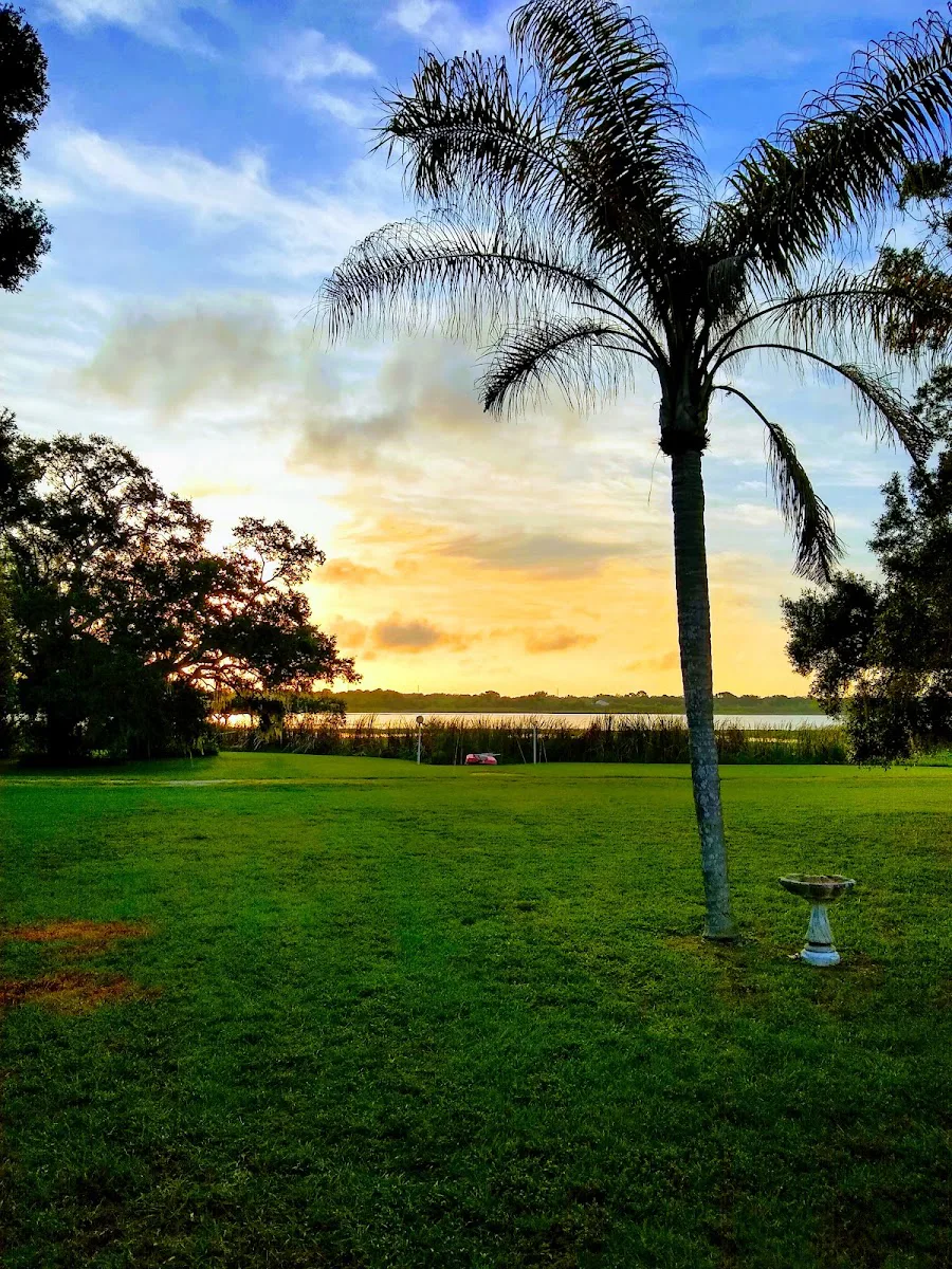 BELLA VISTA photo 3