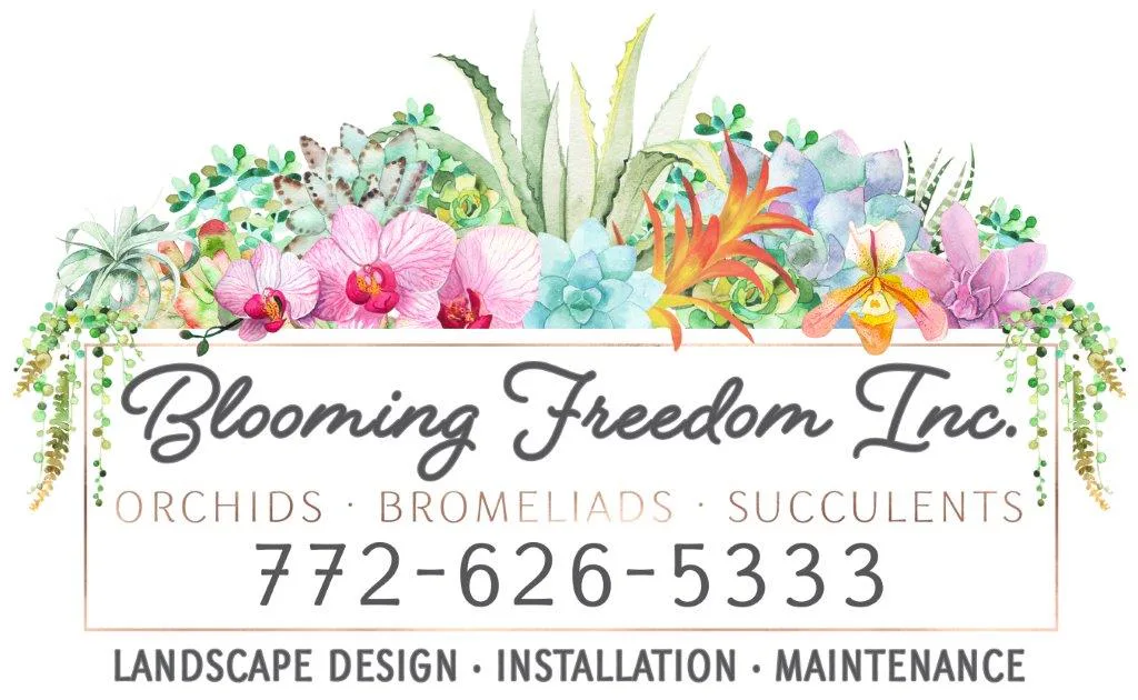 Blooming Meadows photo 3