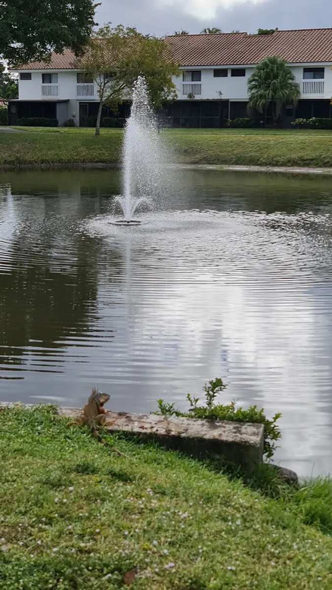 Boca Raton photo 8