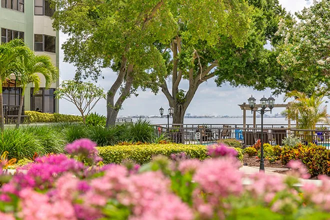 Brookdale Bayshore photo 2