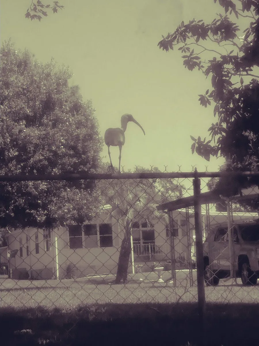 Brookridge photo 8