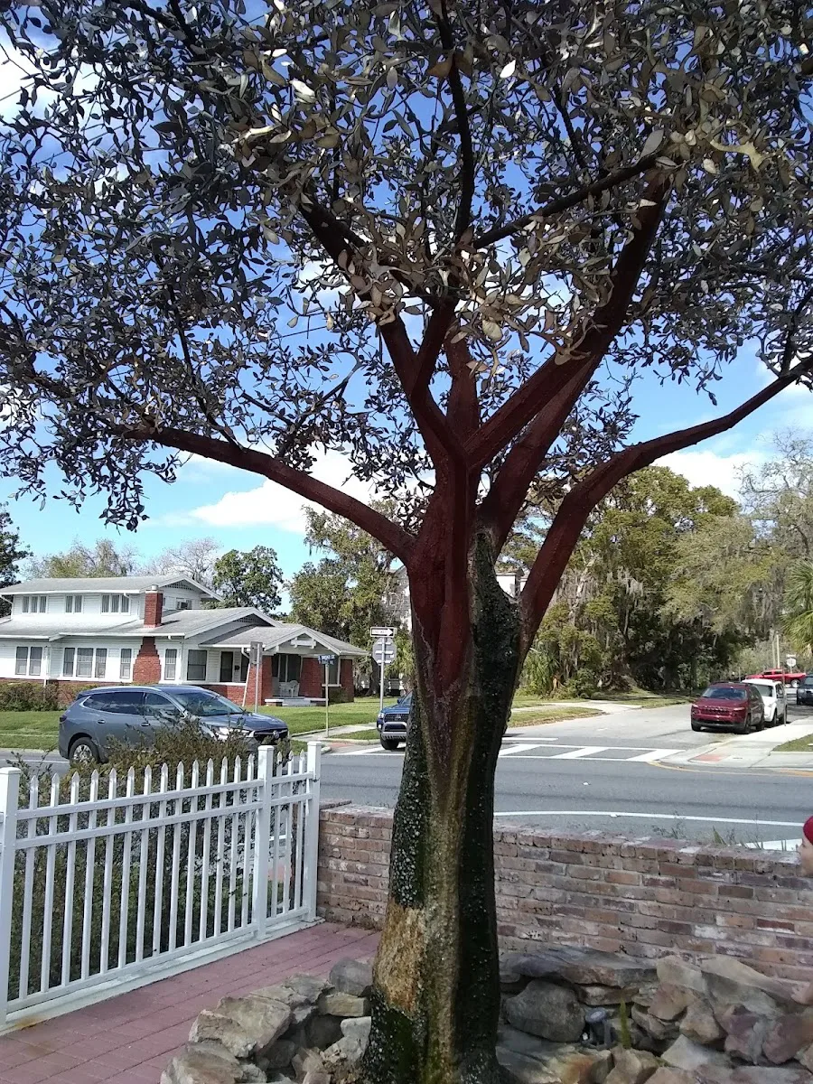 Brooksville photo 8