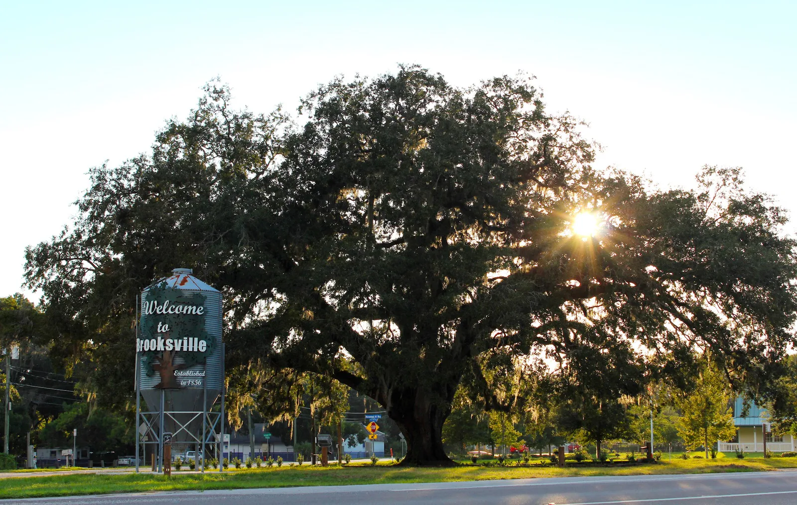 Brooksville photo 10