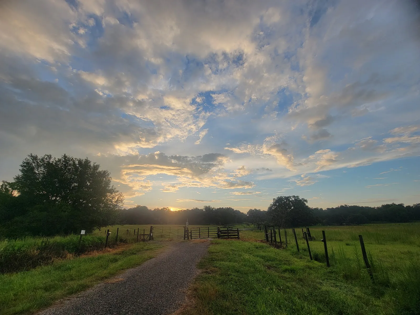 Brooksville photo 4