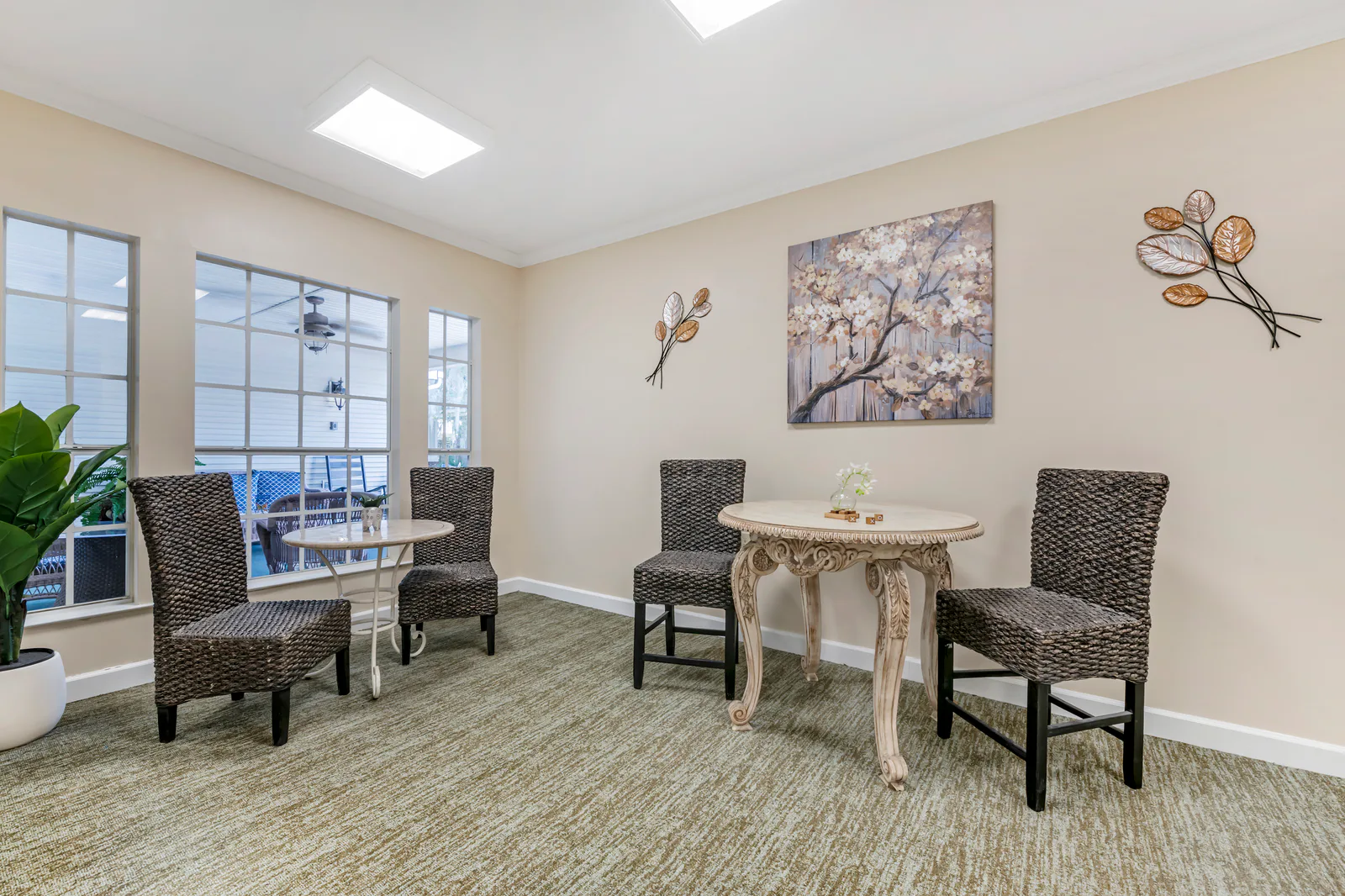 Buena Vida Estates photo 8