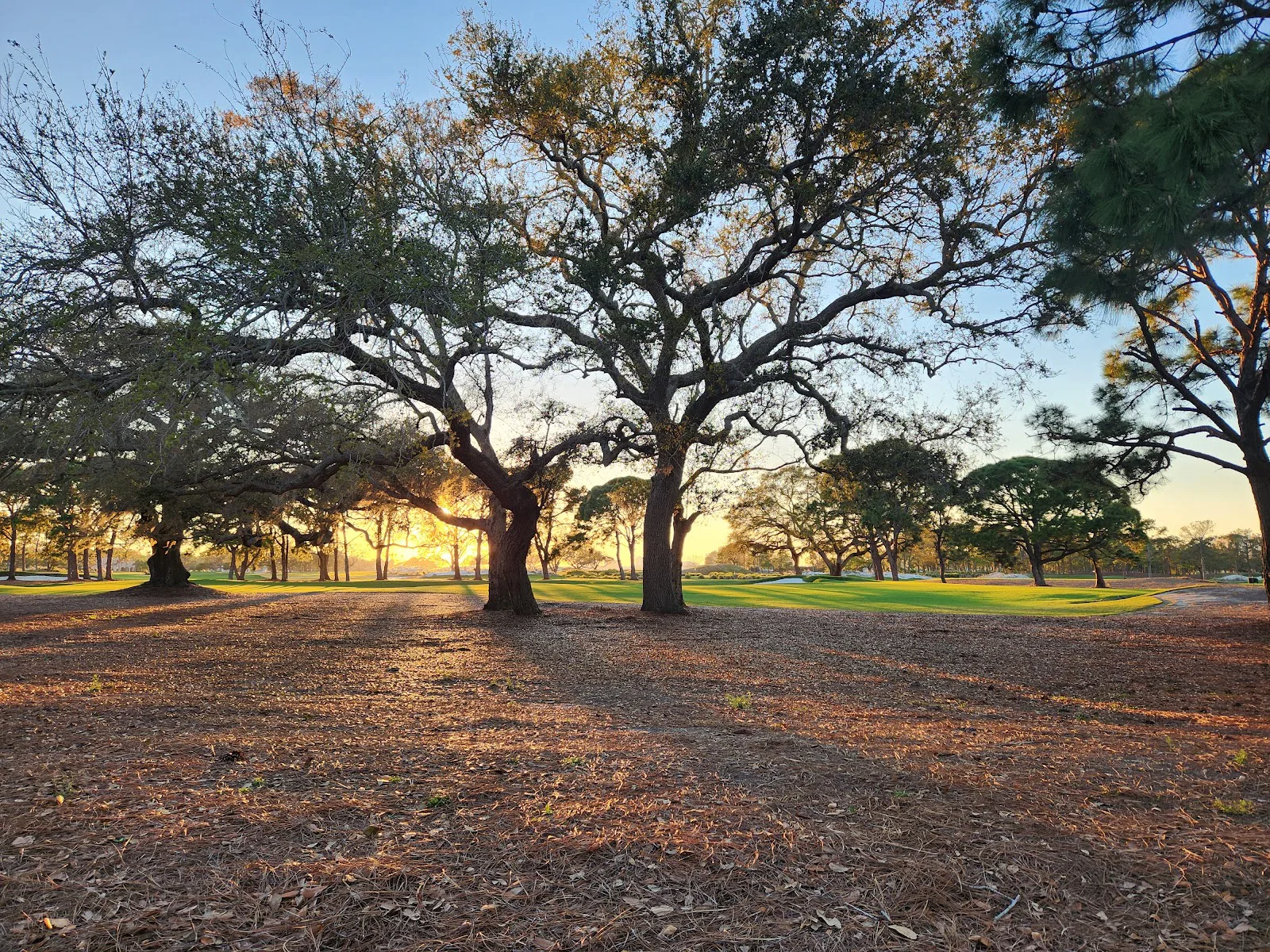 COUNTRY CLUB RETIREMENT CTR IV photo 5