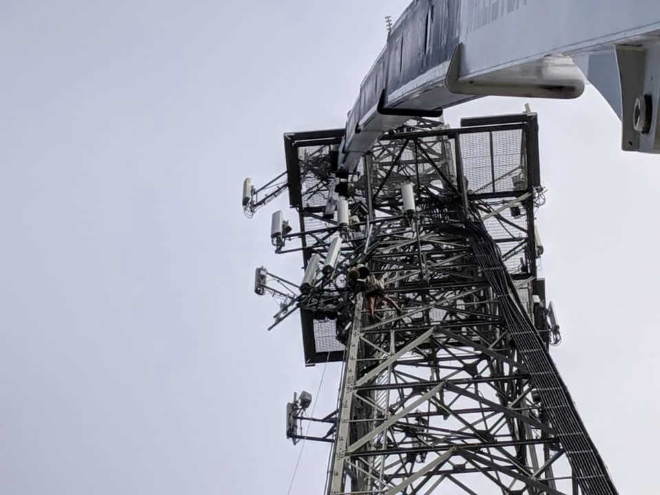 Crane photo 3