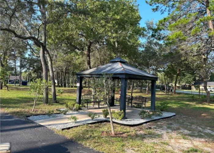 Elevated Estates of Spring Hill photo 6