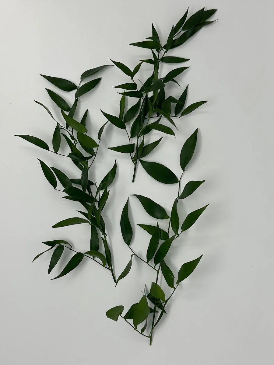 Evergreen Garden Place photo 3