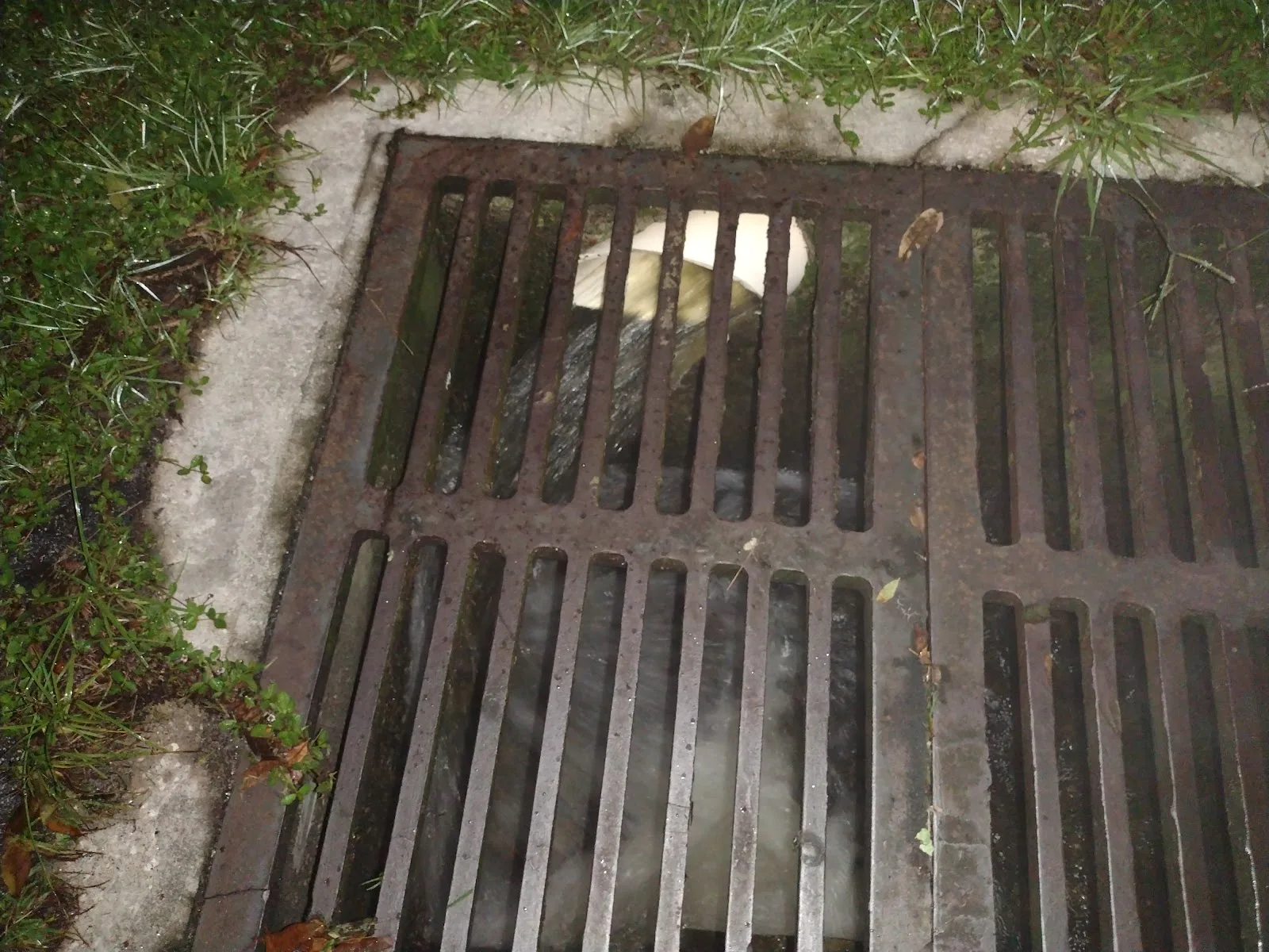 Forest Hill Heights,Llc photo 9