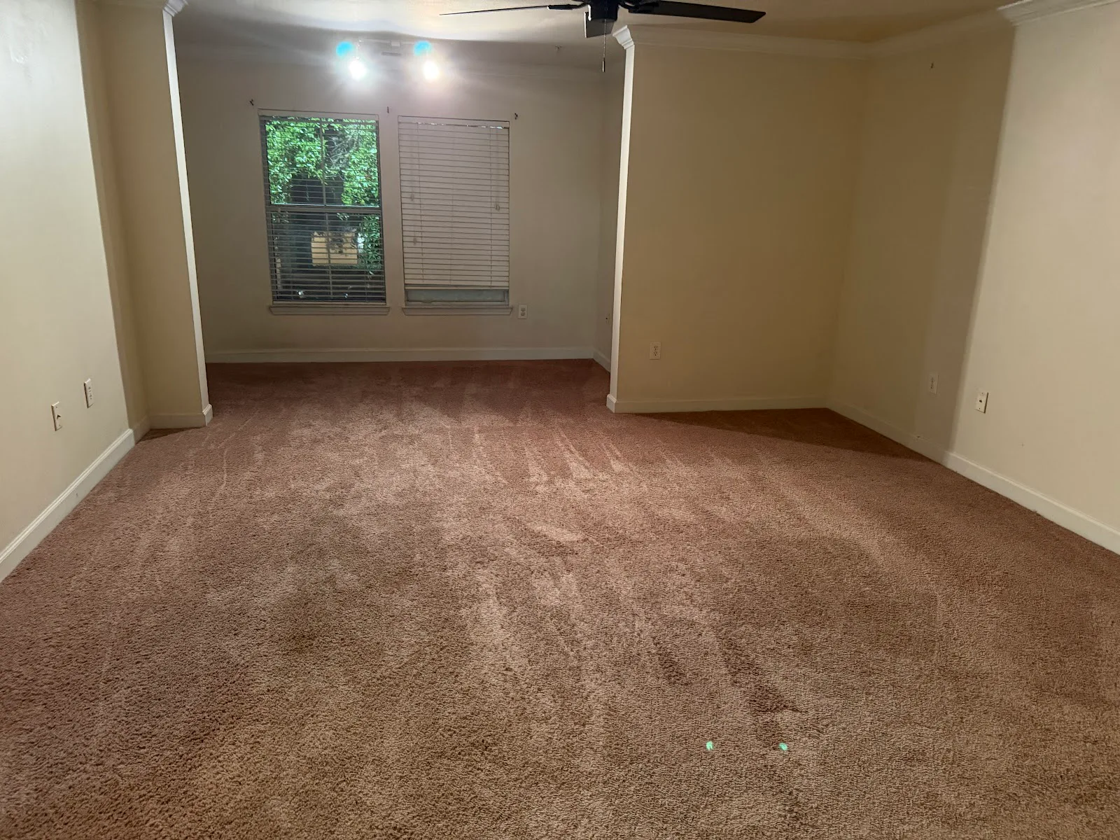 Hampton Meadows, Llc photo 5