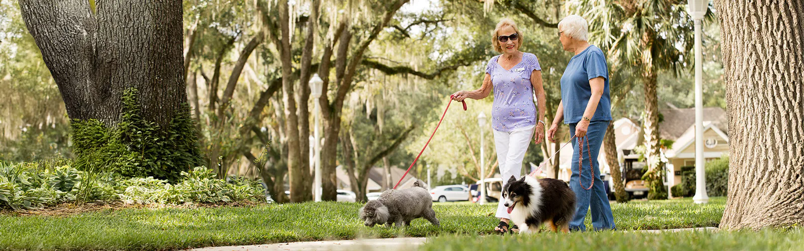John Knox Village Of Central Florida, Inc. photo 2