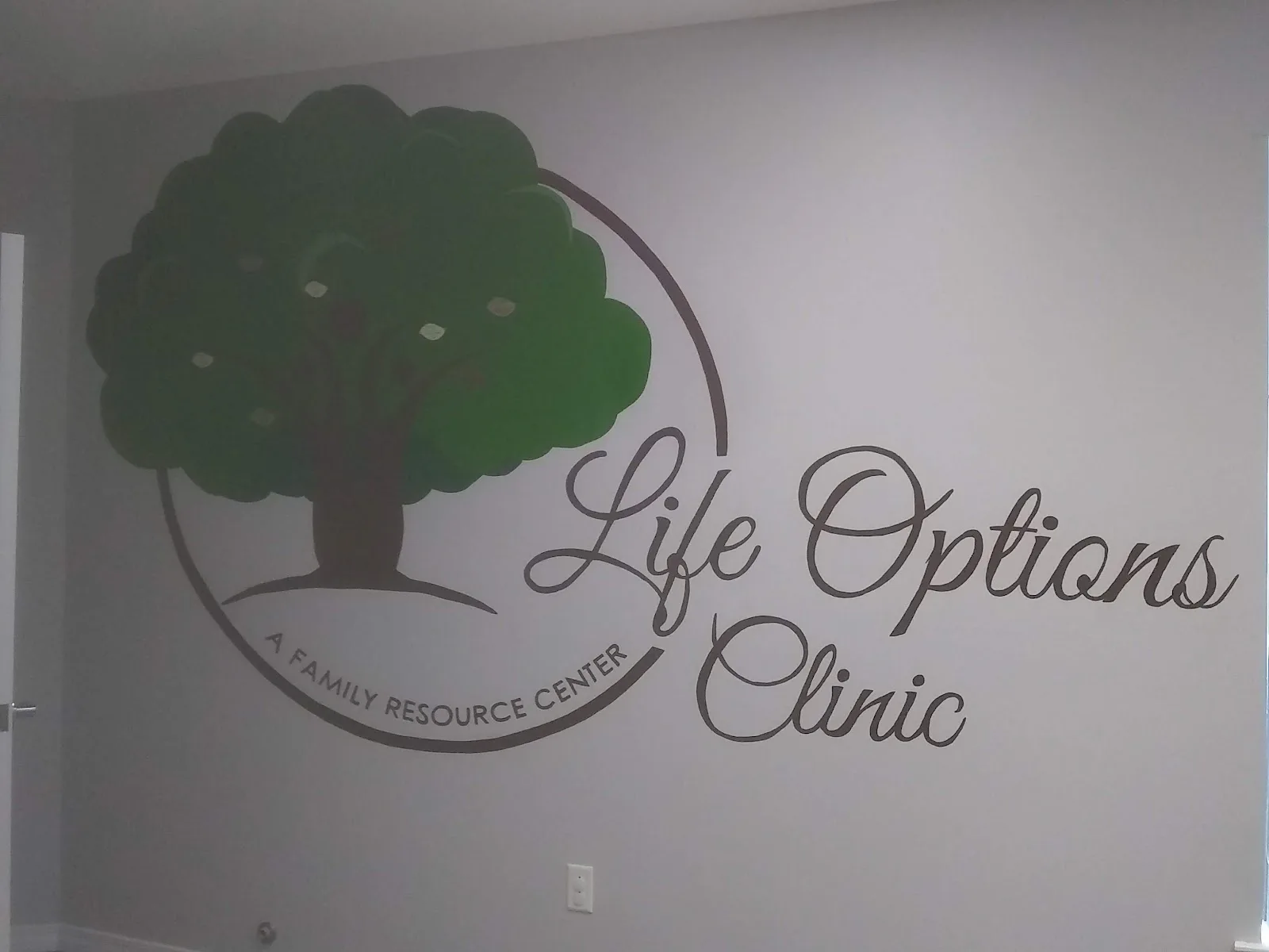 Life Options photo 3
