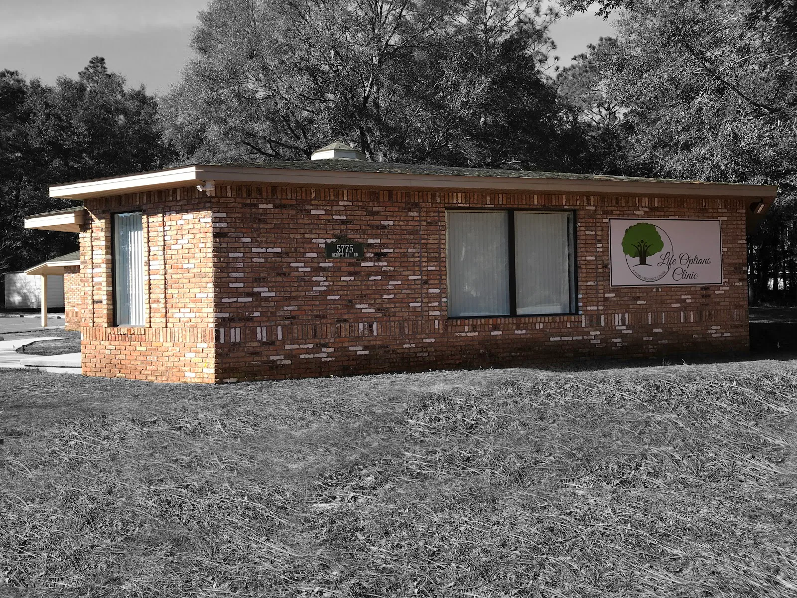 Life Options photo 2