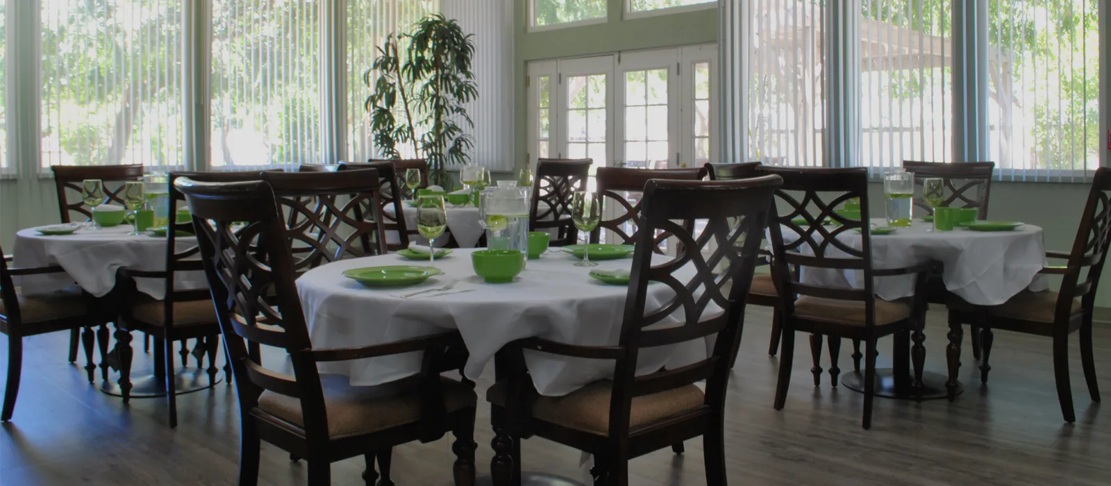 LOTUS VILLA AND MEMORY CARE photo 6