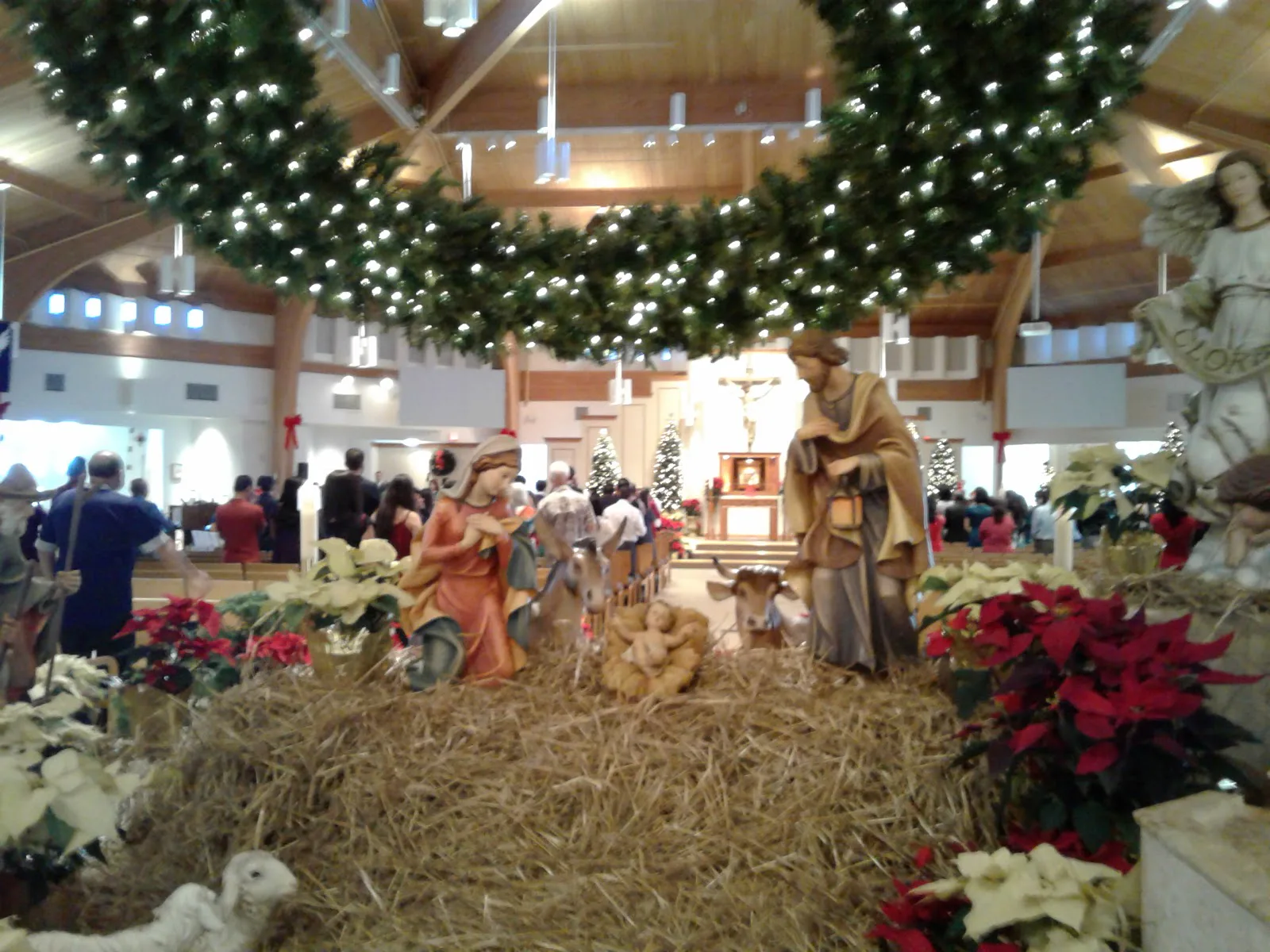 Matthews Of Saint Francis I photo 4
