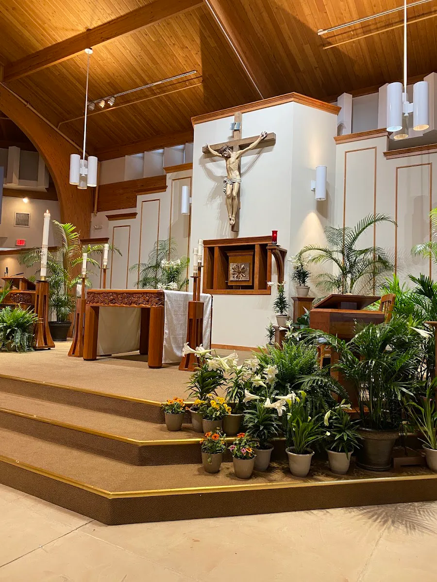 Matthews Of Saint Francis I photo 2