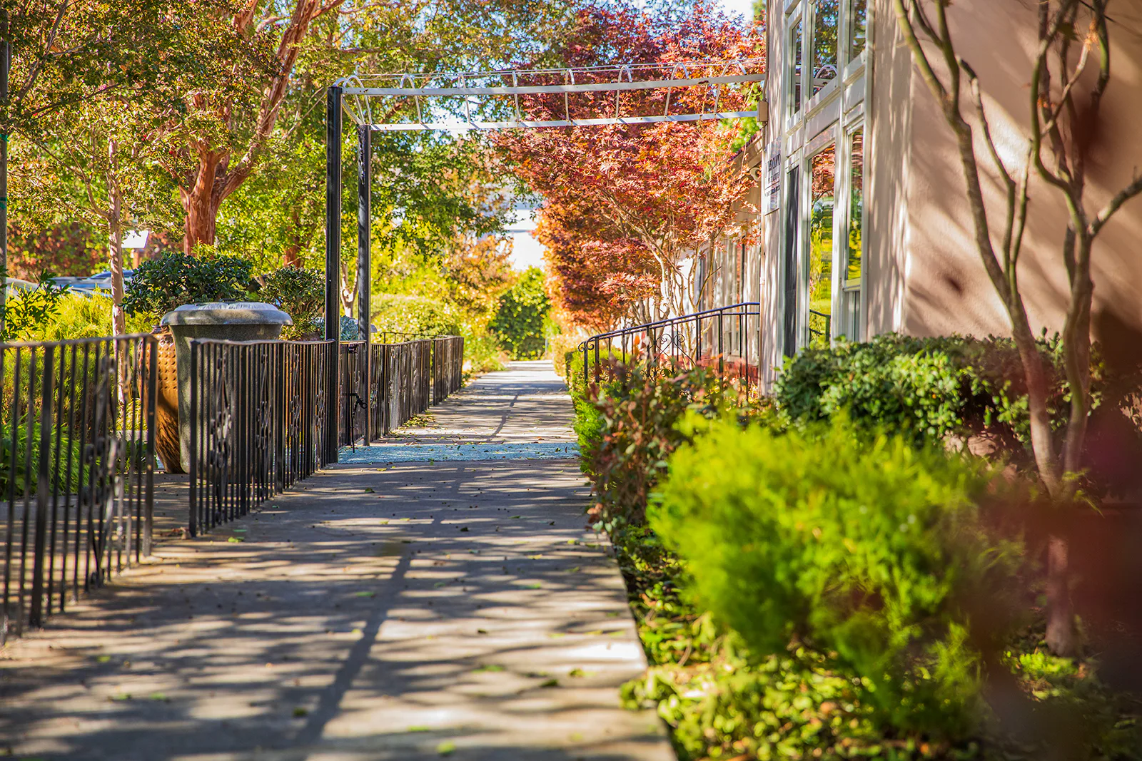 Niles Pointe photo 4