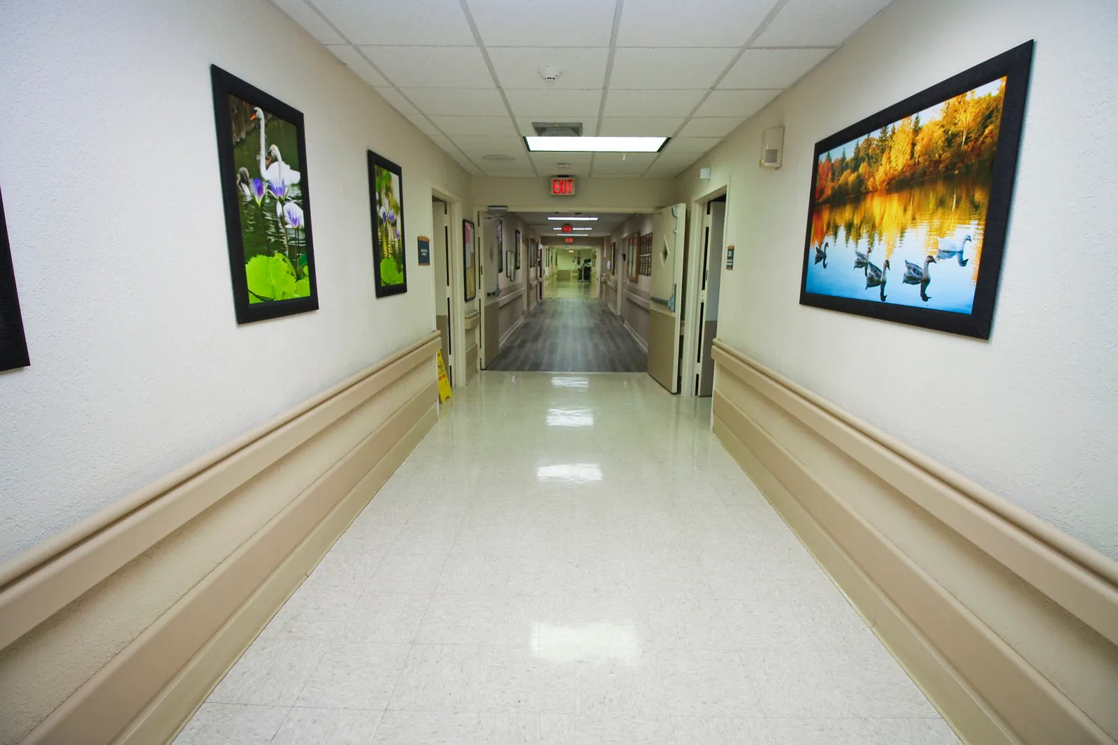 PALMS CARE CENTER photo 8