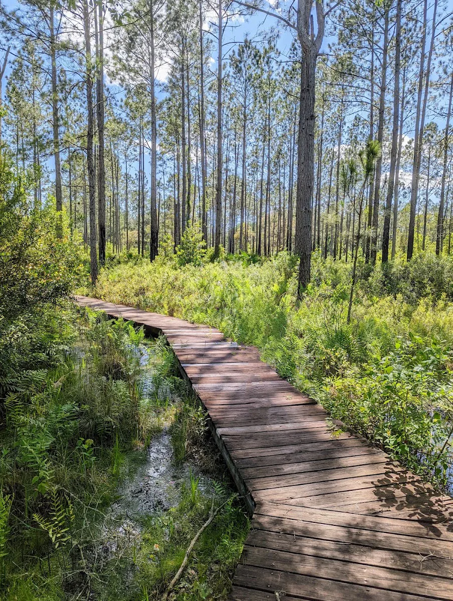 Prairie Creek photo 3