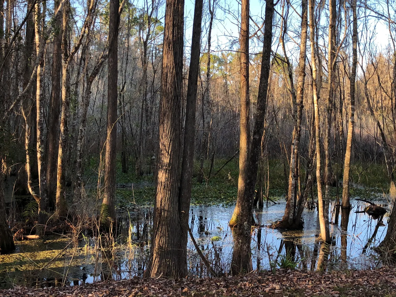 Prairie Creek photo 2