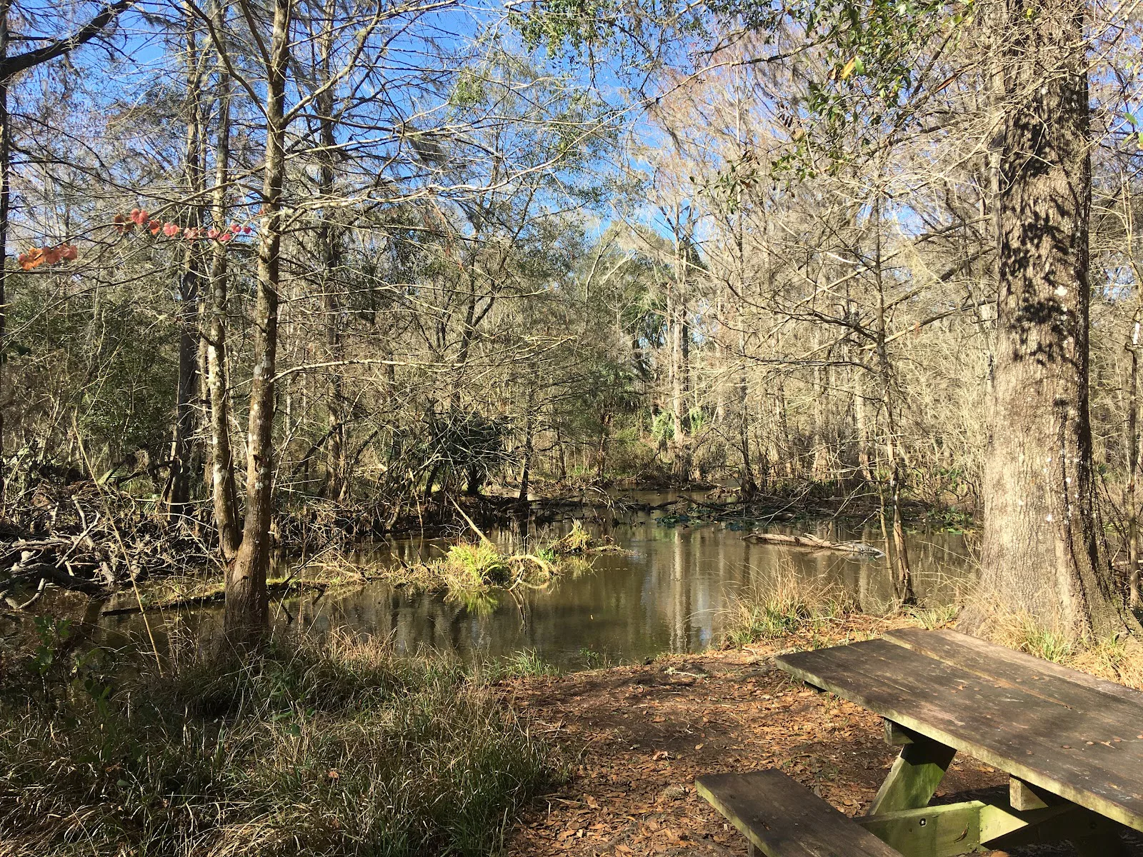 Prairie Creek photo 7