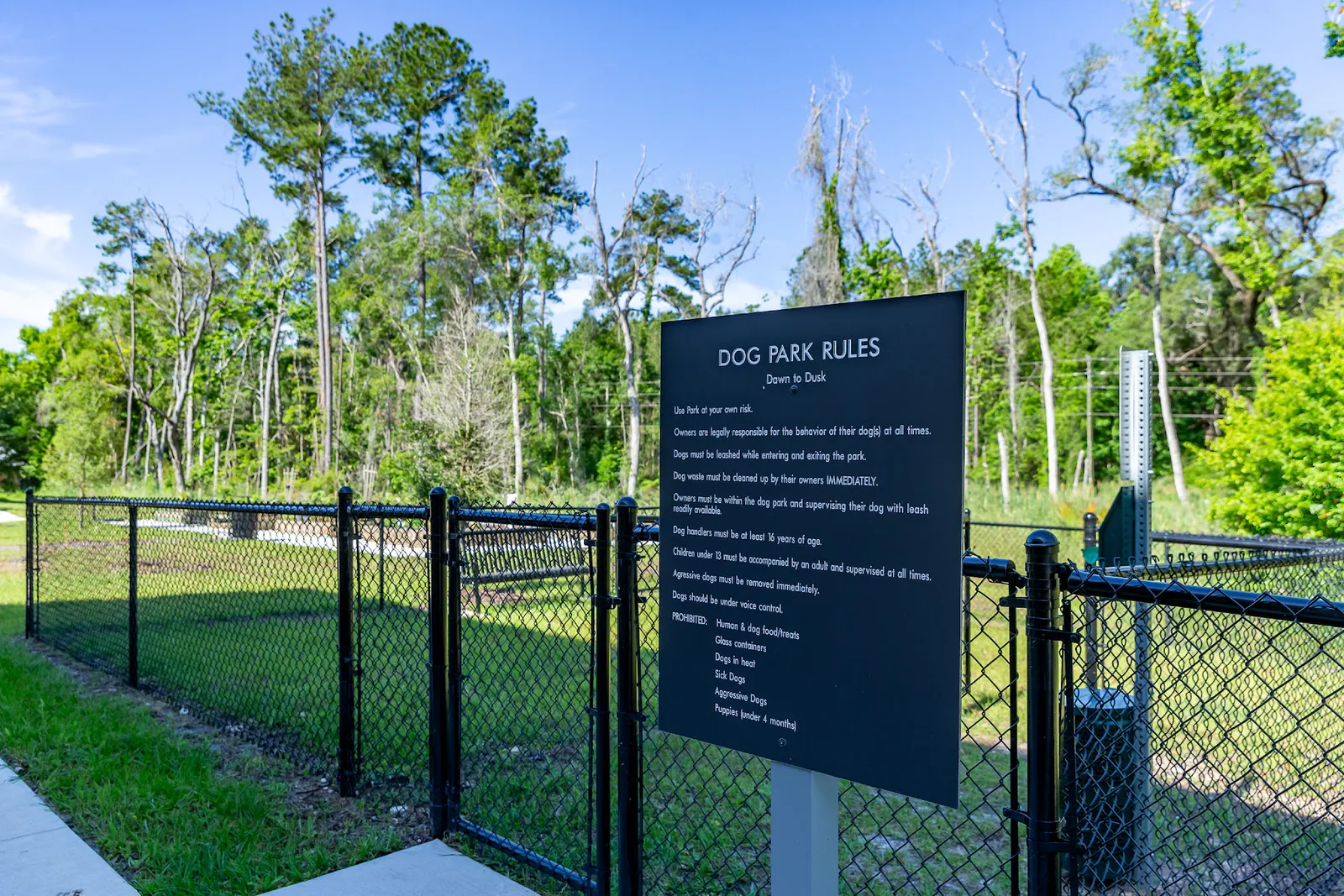 Rochester Park photo 8