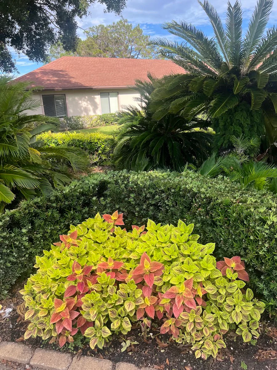 ROSELAWN GARDENS NURSING & REHABILITATION photo 6