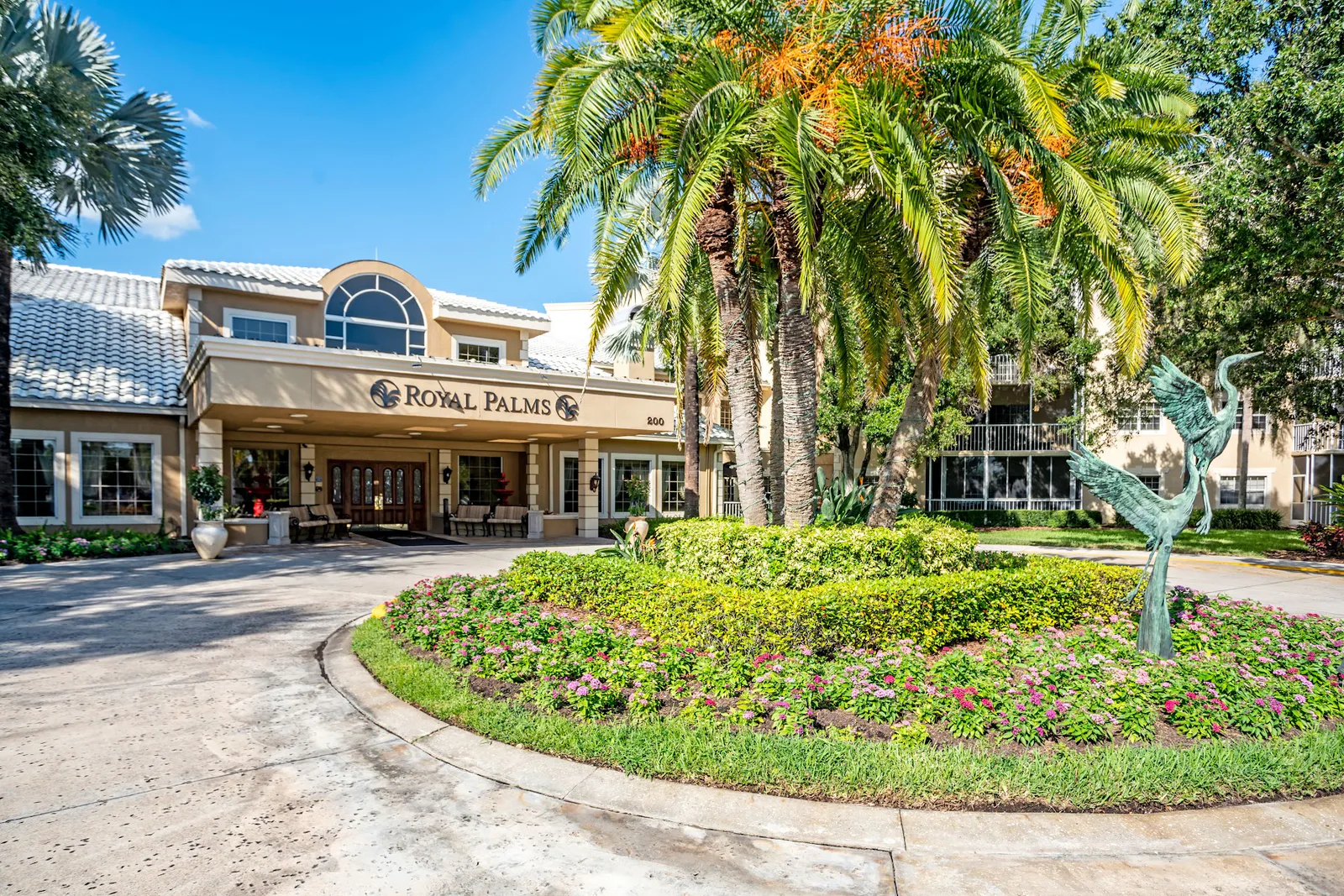 ROYAL PALMS