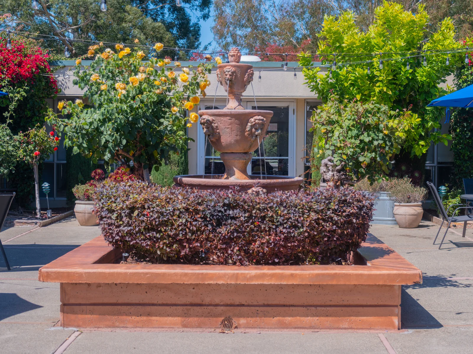 SOUTH MARIN HEALTH & WELLNESS CENTER
