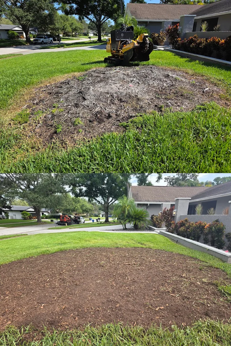 Stump'S Home, Inc