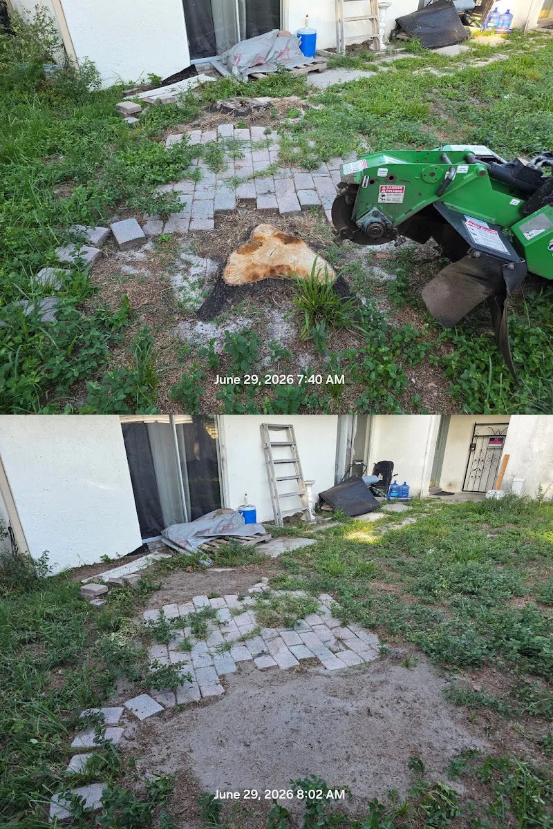 Stump'S Home, Inc photo 3