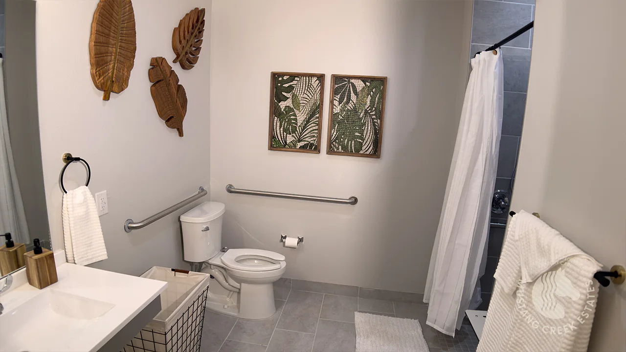 THE MUSTANG CREEK ESTATES OF FLOWER MOUND HOUSE C photo 5