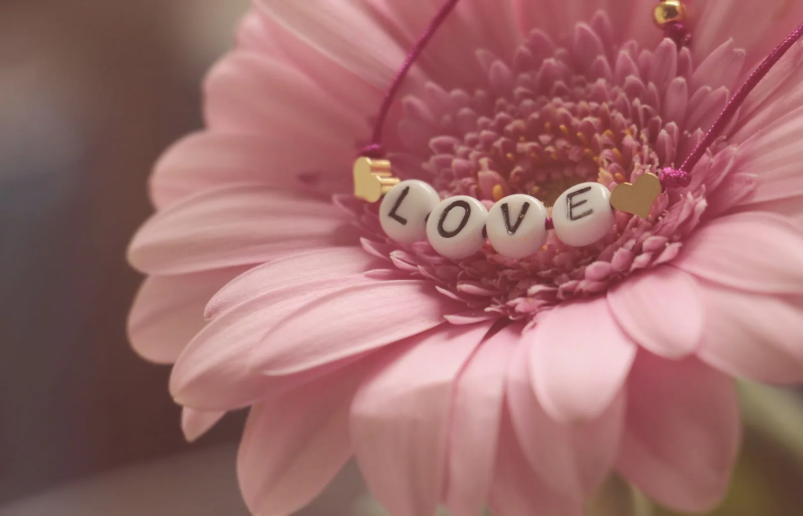 Touch Of Love photo 4